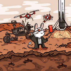 Elon Gerbil