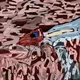 delusions of digesting pulverized plastic from a microwave in defiance ohio
