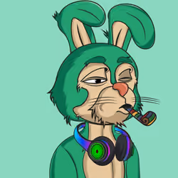 BTFD Rabbits #5879