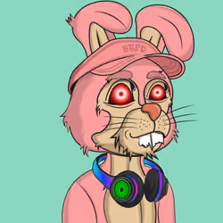 BTFD Rabbits #3439