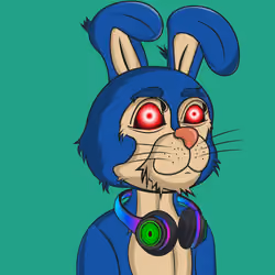 BTFD Rabbits #5087