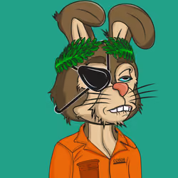 BTFD Rabbits #923