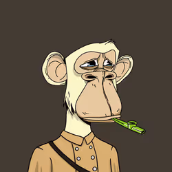 1179