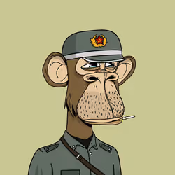 144