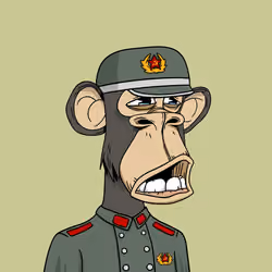 1264