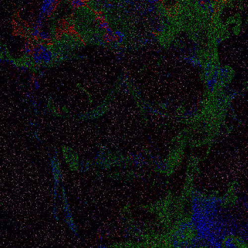 Skulls Of Life