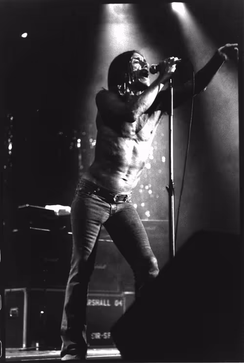 Item #340282366920938463463374607431768211510 Media