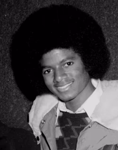 Item #340282366920938463463374607431768211459 Media