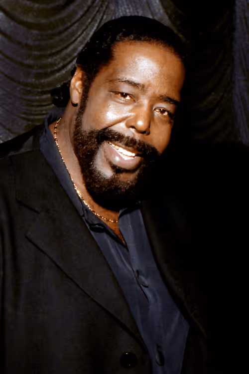 Item #340282366920938463463374607431768211559 Media