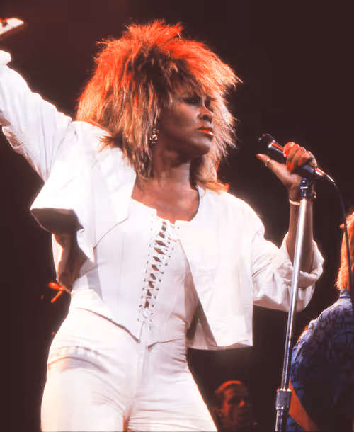 Item #340282366920938463463374607431768211475 Media