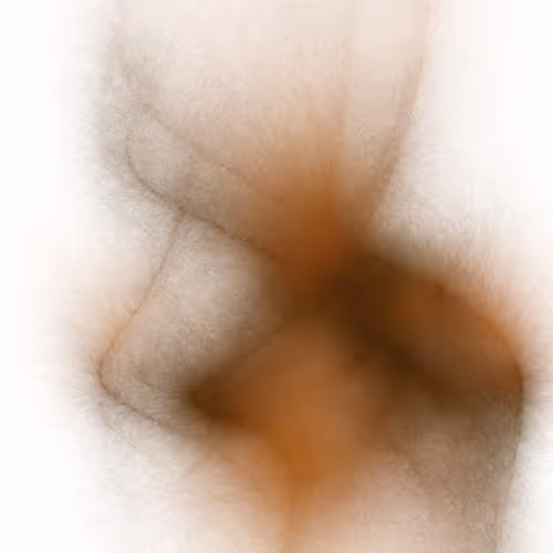 36