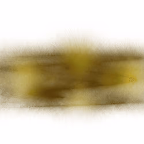 Item #51 Media