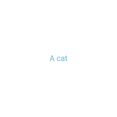 Catty