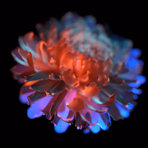 ‘Bloom in the Dark’