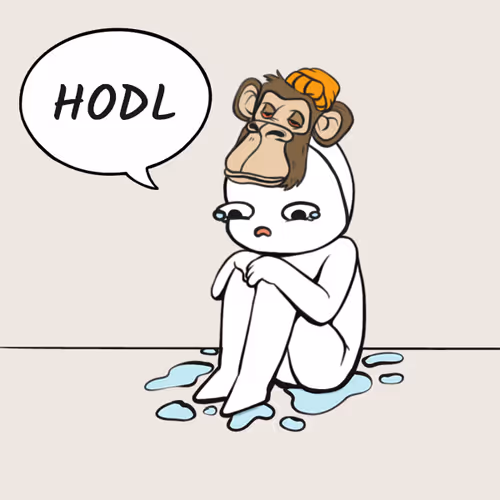 Bear Market Life