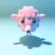 507