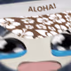 511