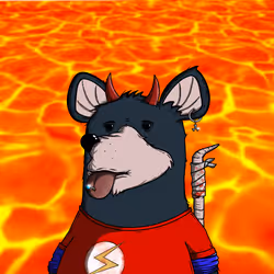 205