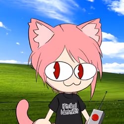 Neko 1482