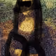 605
