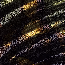 655