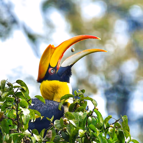 INTO THE WILD - UmfX8VGwvE