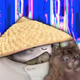 454