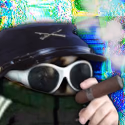 Sogette 7331