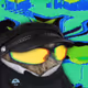 3764