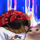 4258