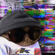 6460