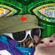 6760