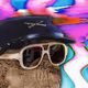 6658