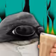 5223