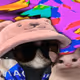 2078