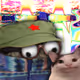 7647
