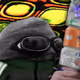 5095