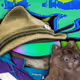6251