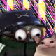 5902
