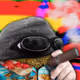 3759