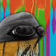 2807