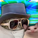 7529