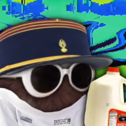 Sogette 6561