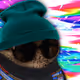 2043