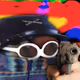5889