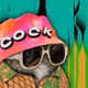 7428