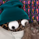 4007