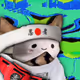 257