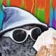 4303