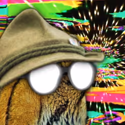 Sogette 1100